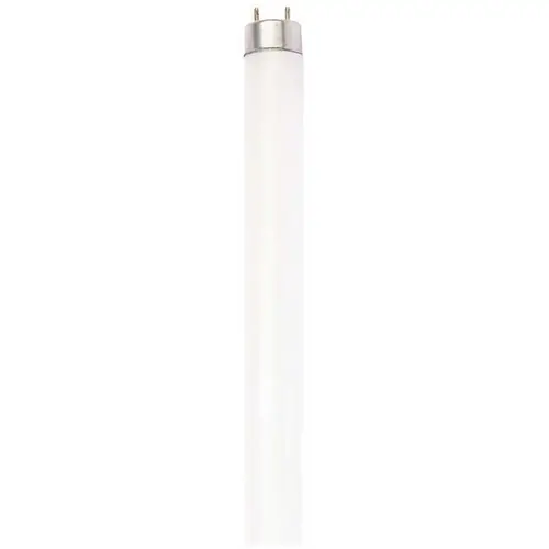 Commercial Electric F32T8/850 32-Watt T8 Linear Fluorescent Tube Light Bulb, Daylight - pack of 30