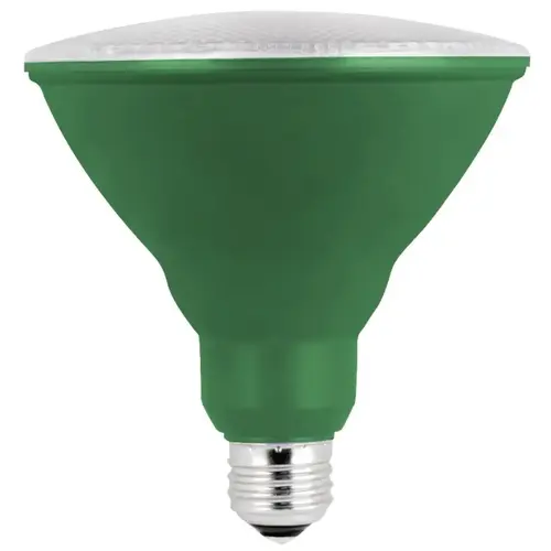 Feit Electric PAR38G10KLED/BX LED Bulb, Flood/Spotlight, PAR38 Lamp, E26 Lamp Base, Green Light Clear