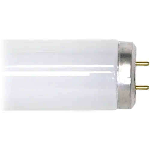 Satco S6638-XCP30 Fluorescent Bulb 40 W T12 1.5" D X 48" L Daylight Linear 6500 K Frosted - pack of 30