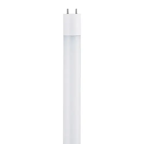 Westinghouse 5385200 LED Light Bulb T8 G13 (Medium Bi-Pin) Daylight Frosted