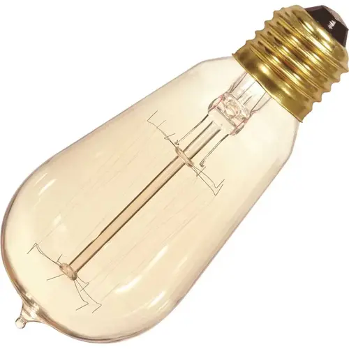 Satco S2423 Vintage T-19 Bulb, 60 Watt, Cage, 120 Volt