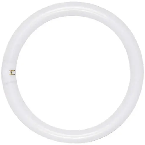 Satco S6500 22-Watt Circline T9 G10q Base Fluorescent Tube Light Bulb, Cool White - pack of 12
