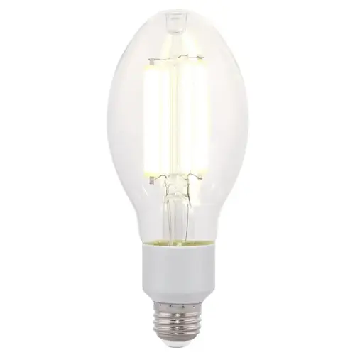 Westinghouse 5251000 Filament LED Bulb ED23.5 E26 (Medium) Daylight 150 Watt Equivalence Clear