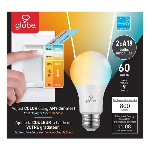 Globe Electric 33229 LED Bulb A19 E26 (Medium) Daylight 60 W Frosted Pair