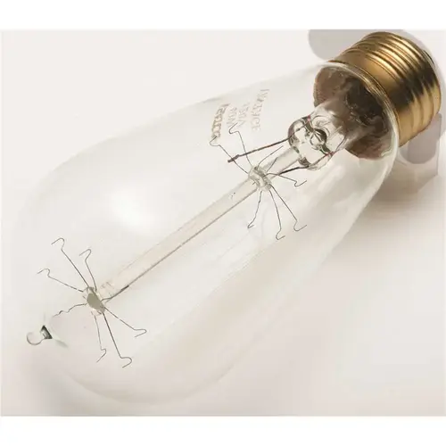 Satco S2413 Vintage St-19 Bulb, 40 Watt, Cage, 120 Volt