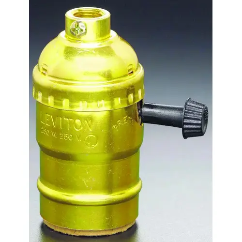 Leviton 051-07090-0PG 7090-PG Lamp Holder, 250 V, 250 W, Phenolic Housing Material, Brass