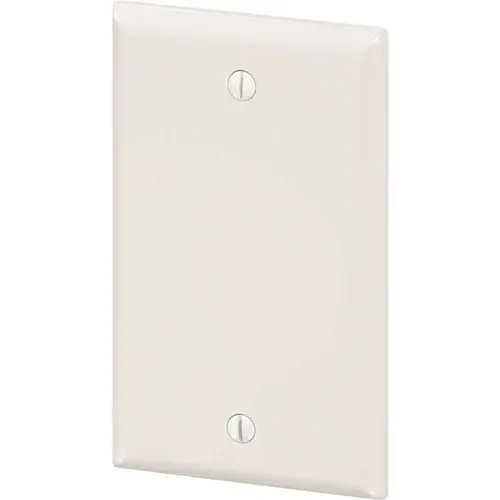 HD Supply-Maintenance Warehouse 3041-WH Maintenance Warehouse Single Gang Blank Wall Plate -White