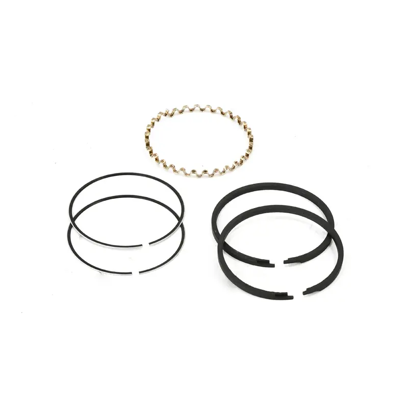 Champion Piston Ring Kit Replacement - Z-797