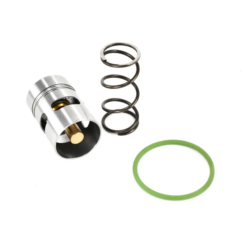 Champion Thermostat Kit Replacement - 304EFC6013