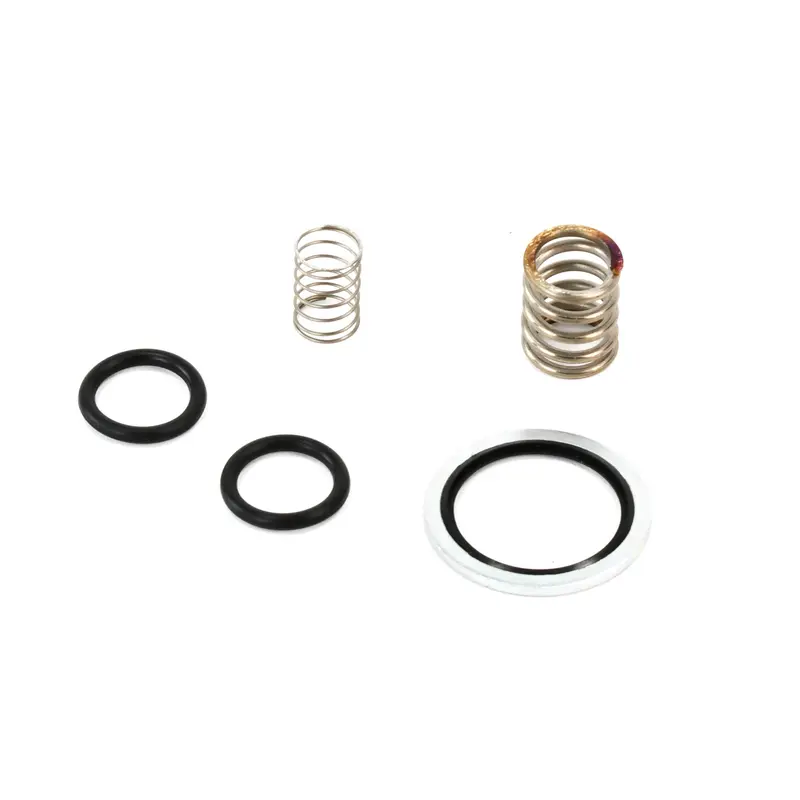 ELGi Minimum Pressure Check Valve Kit Replacement - A990288