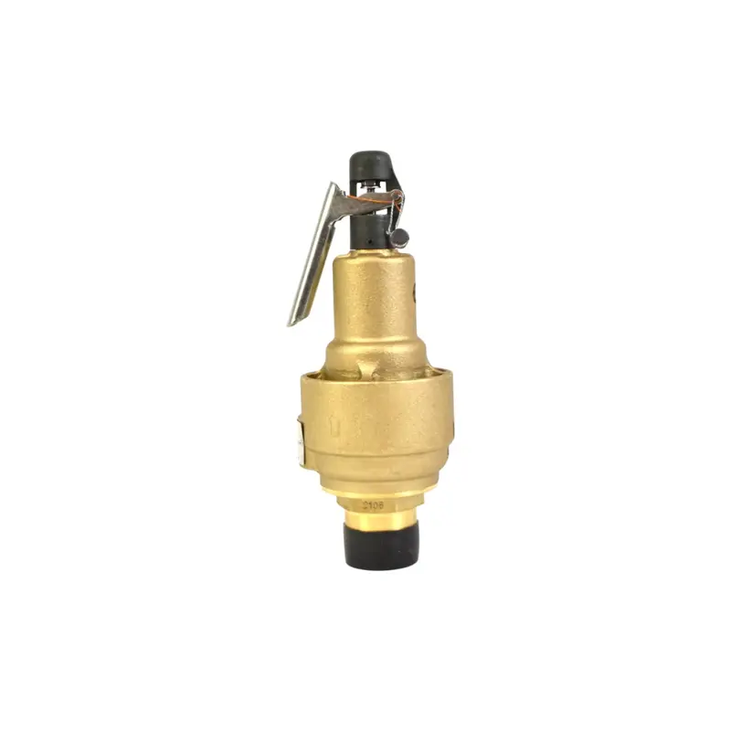 Gardner Denver Relief Valve Replacement - 90AR649