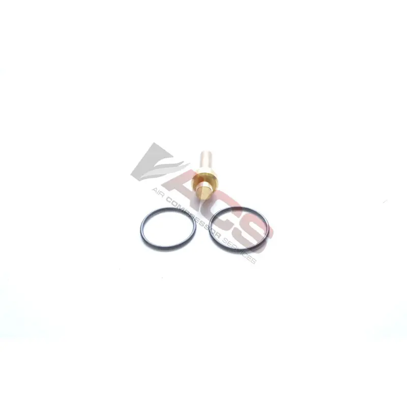 Kaeser Combination Valve Kit Replacement - 400888.00020