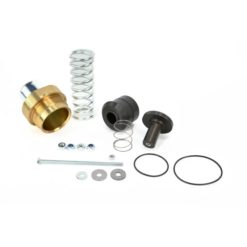 Kaeser Minimum Pressure Check Valve Repair Kit Replacement - 205795.2
