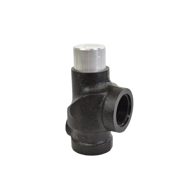 LeROI Minimum Pressure Valve Replacement - 15-1667