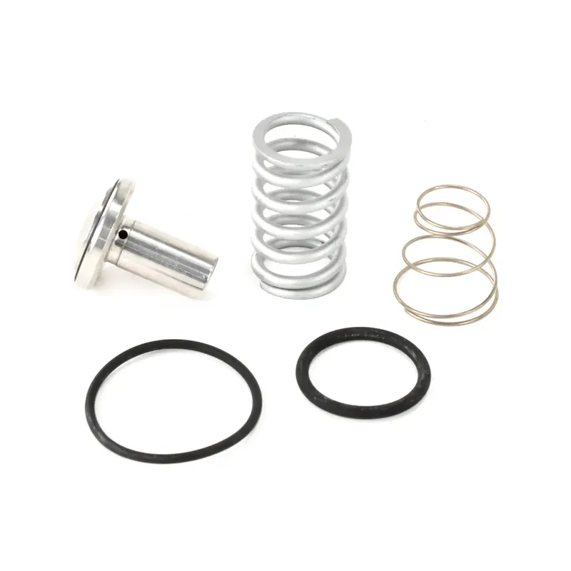 Quincy Minimum Pressure Check Valve Kit Replacement - 147564K