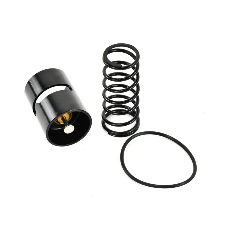 Atlas Copco Thermostatic Valve Replacement - 1202586903