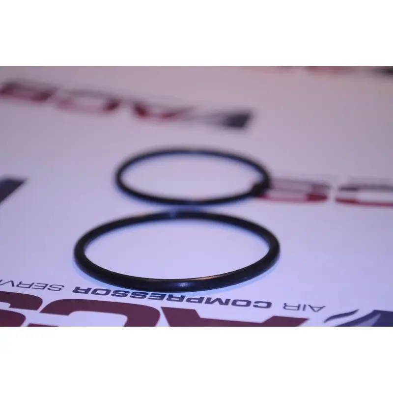 Champion O-Ring Replacement - EFC85646299