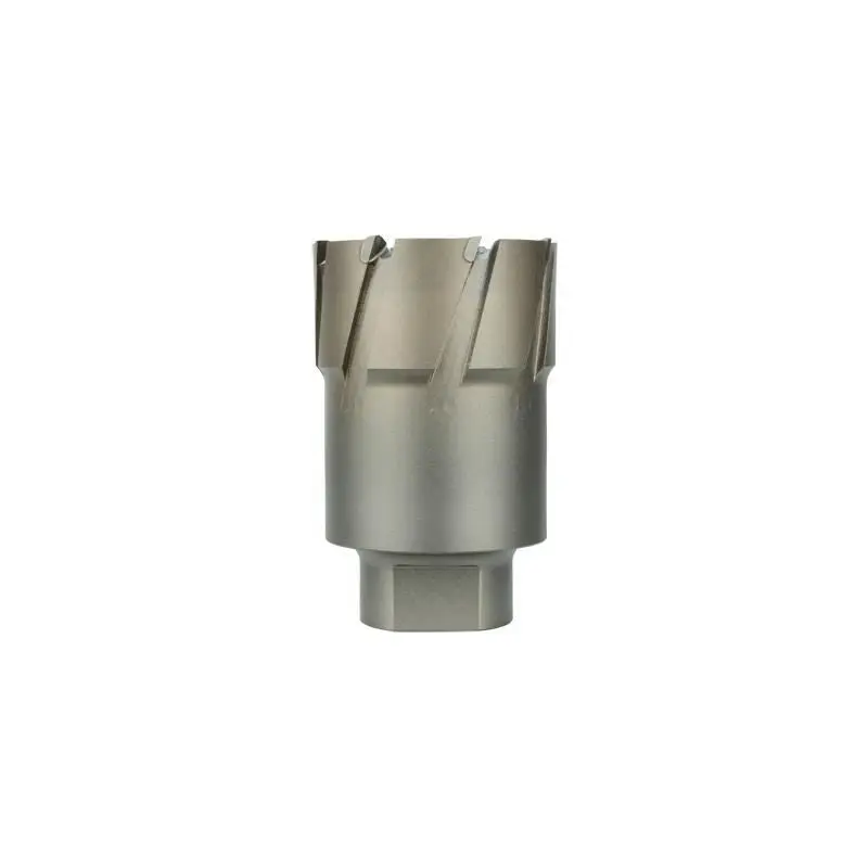 Milwaukee 49-57-1250 1-1/4"" Threaded Steel Hawg Cutter