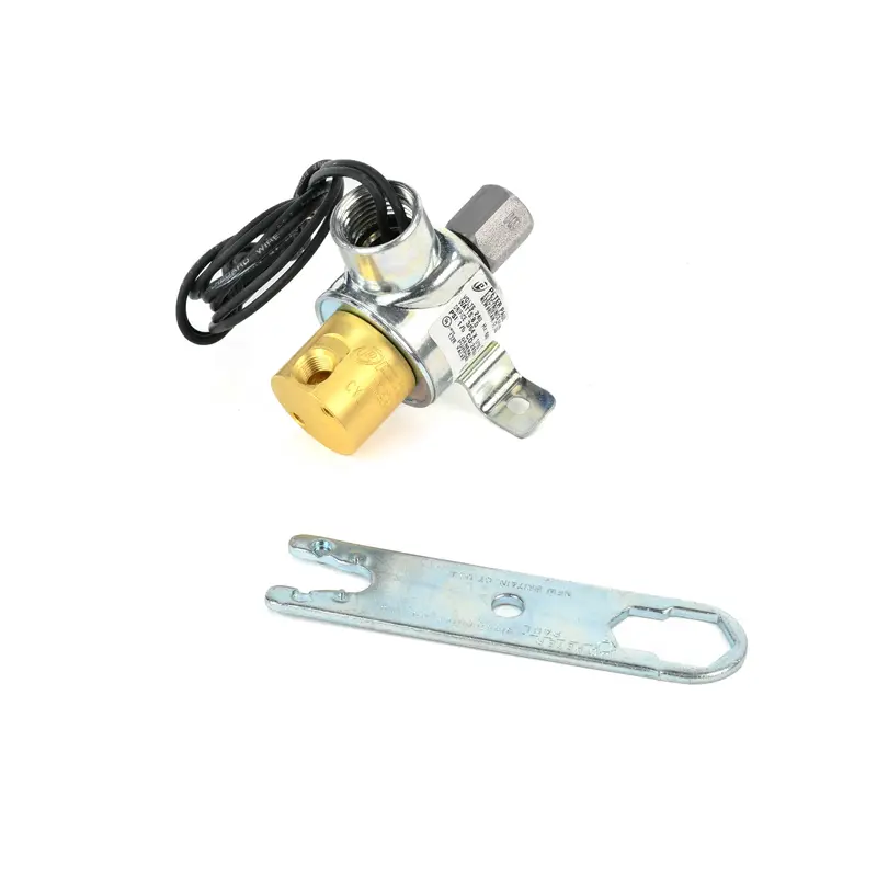 FS-Curtis Solenoid Valve Replacement - FVV223B