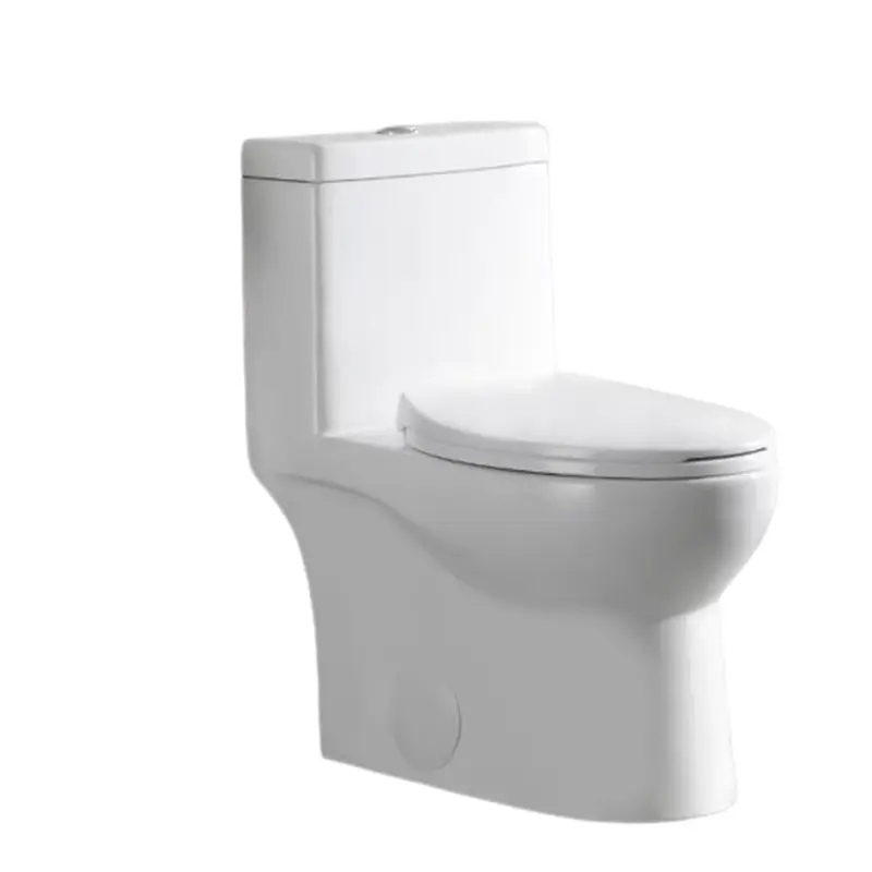 Ally 1-Piece 1.1/1.6 GPF Dual Flush Elongated ADA Comfort Height Toilet in Glossy White Seat Included