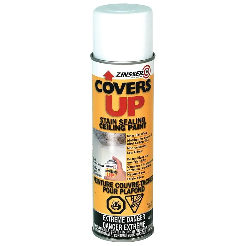 Zinsser Z03696 Spray Primer, White, 454 g