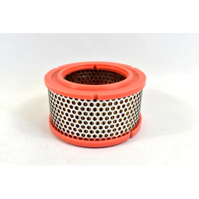 Devair Air Filter Replacement - DSC-001569