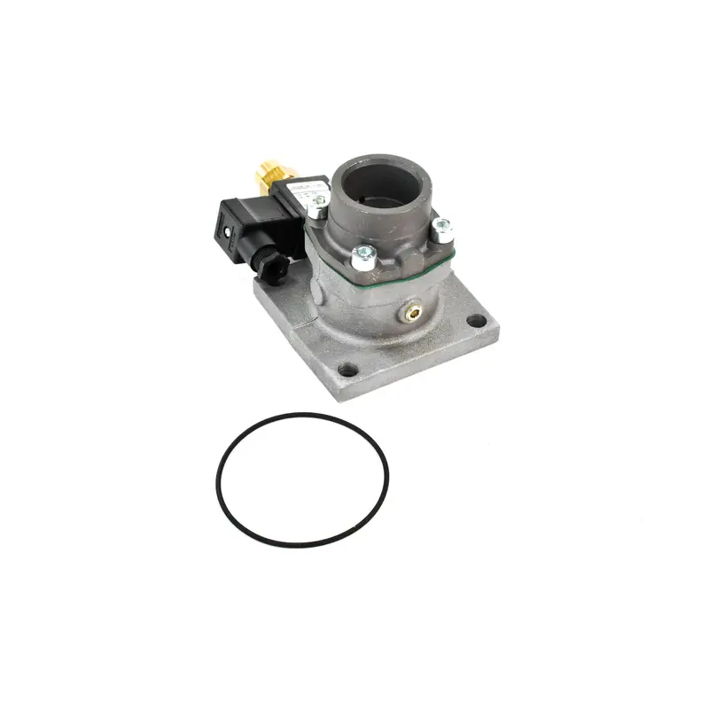 ELGi Inlet Valve Replacement - B009800780016