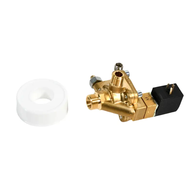 Kaeser Discharge Valve Replacement - 202051.00080