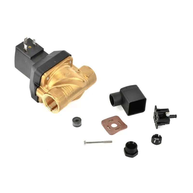 Hankison Purge Valve Replacement - 3247596