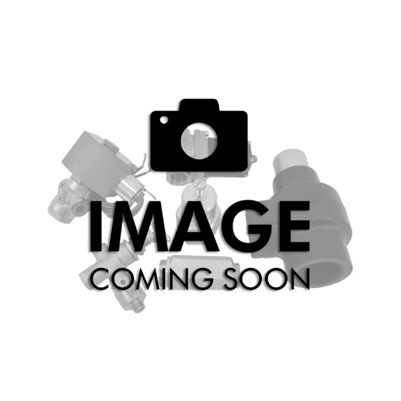 Ingersoll Rand Minimum Pressure Check Valve - 39311824