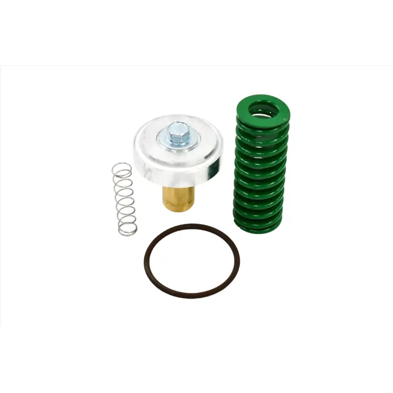 Quincy Minimum Pressure Check Valve Repair Kit Replacement - 128691-051