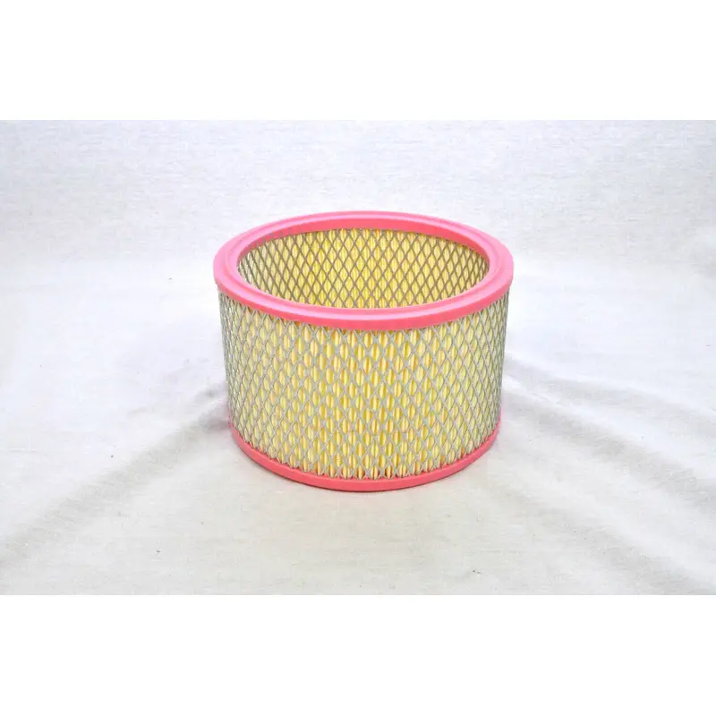 Boss Air Filter Replacement - 307152