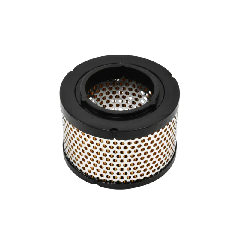 ROTORCOMP Air Filter Replacement - R-2595