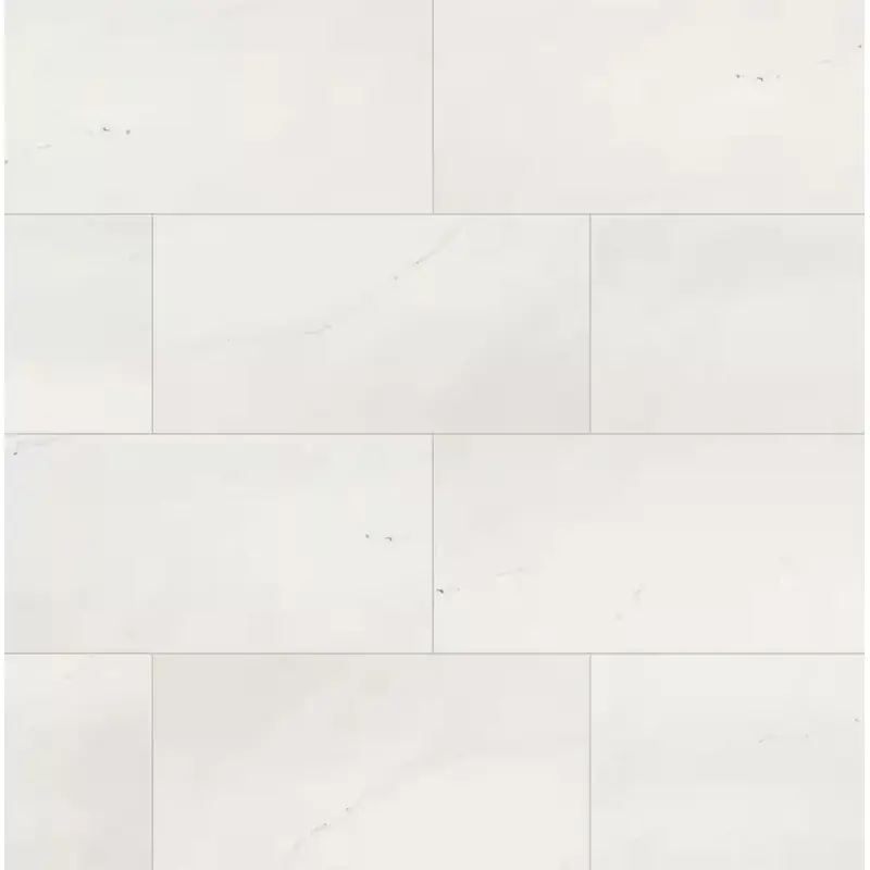 Aria Ice 12 in. x 24 in. Polished Porcelain Floor and Wall Tile (16 sq. ft. / case)Case