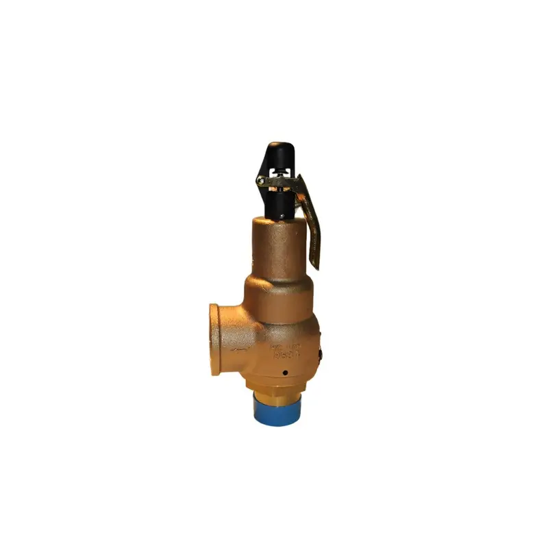 Ingersoll Rand Safety Valve Replacement - 39324785
