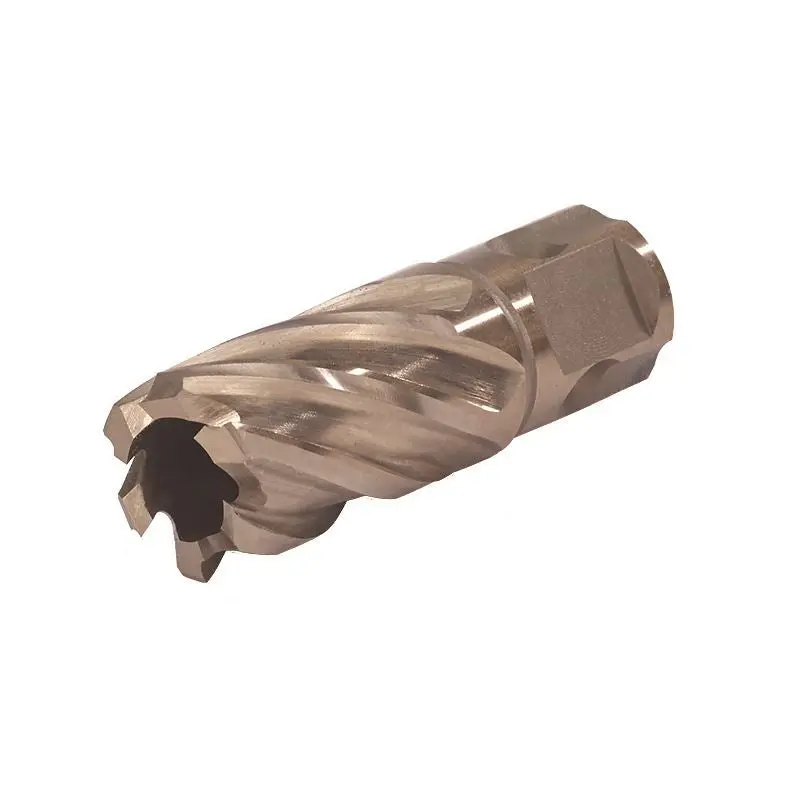 WALTER 05E102 1-1/8in X 1in DEPTH SST CORE CUT UNIVERSAL SHANK