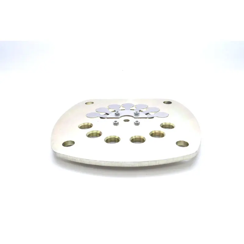 Ingersoll Rand Valve Plate Assembly Replacement - 56280514