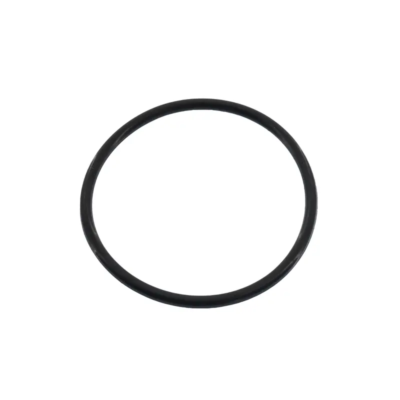 Thermostat O-Ring